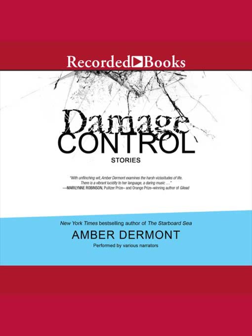 Title details for Damage Control by Amber Dermont - Available